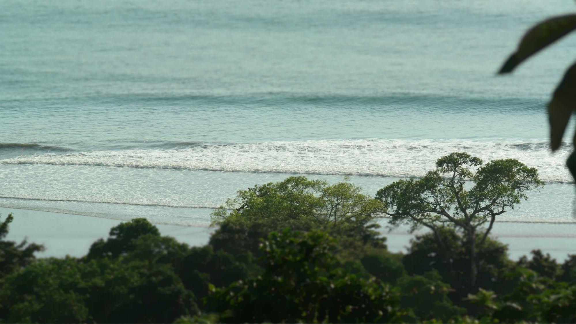 Ranchos Remo Lodge Uvita Luaran gambar