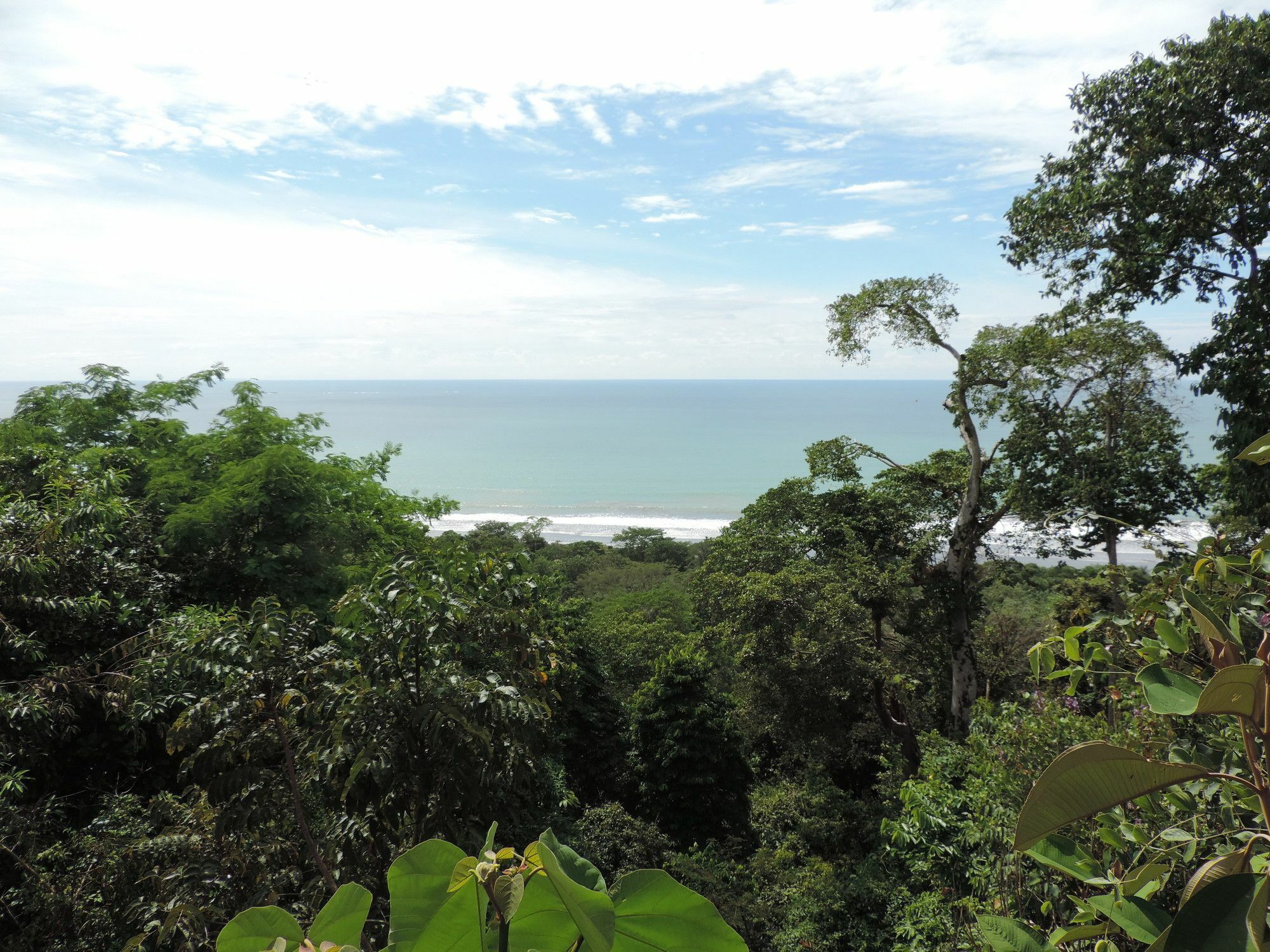 Ranchos Remo Lodge Uvita Luaran gambar