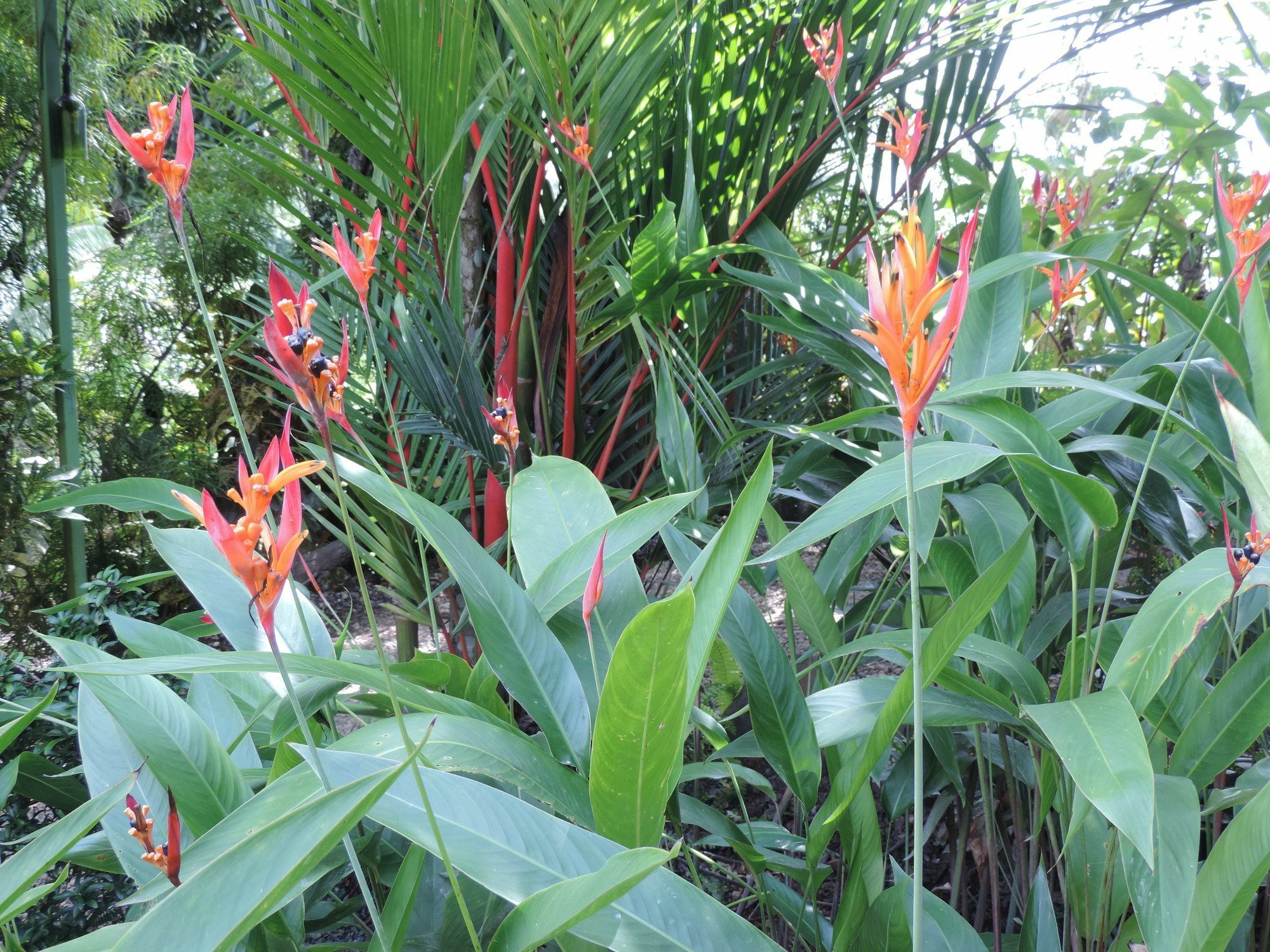 Ranchos Remo Lodge Uvita Luaran gambar