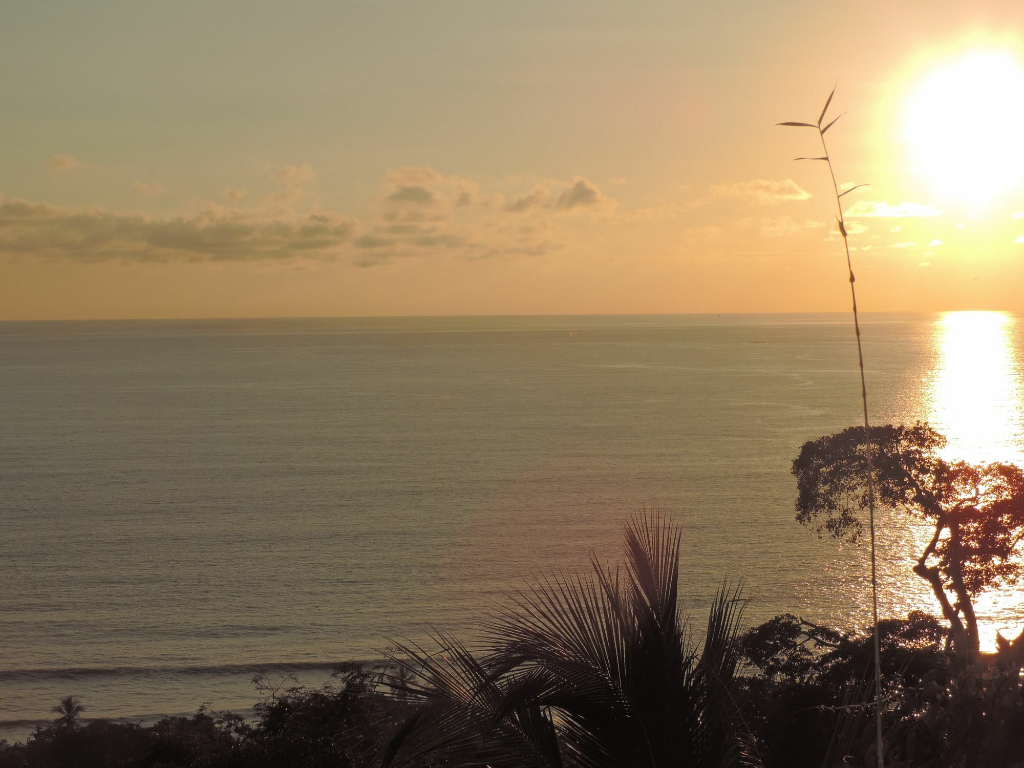 Ranchos Remo Lodge Uvita Luaran gambar